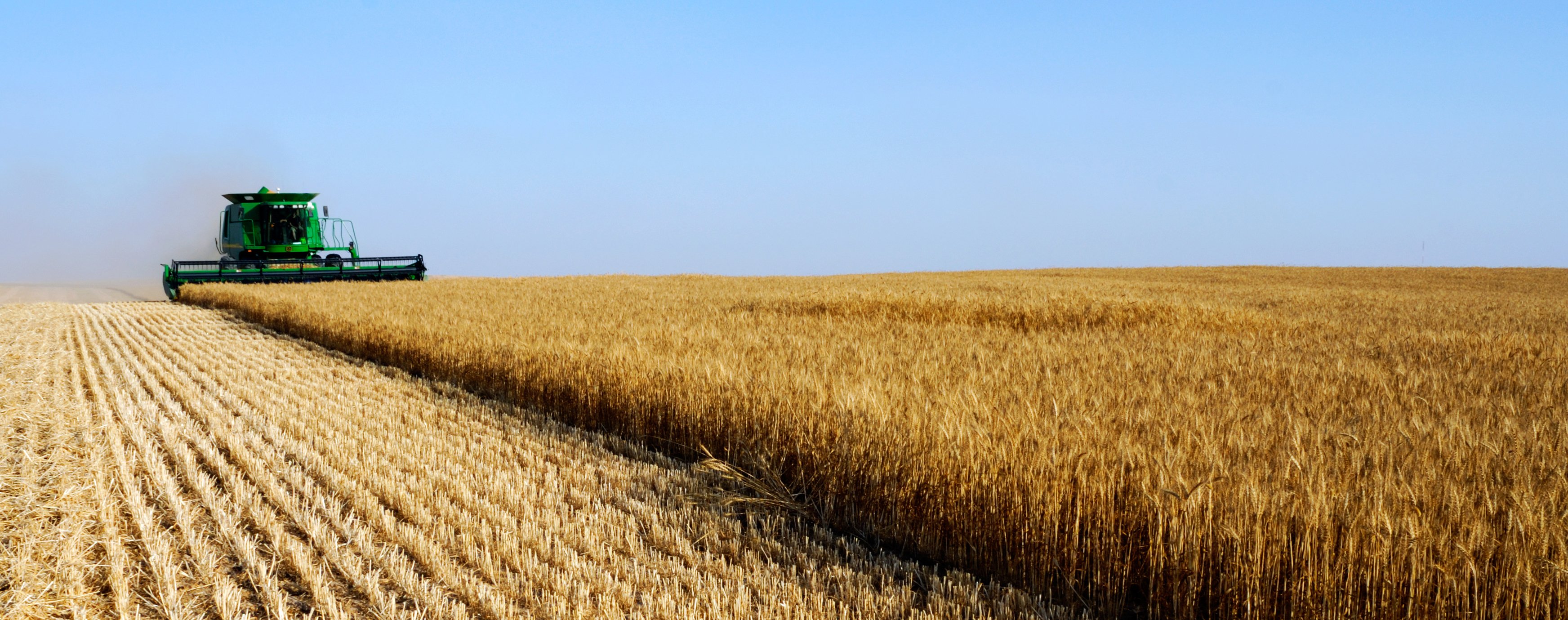 Indigo Agriculture Australia S 2019 In Review   Wheat  Harvest AdobeStock 13017702 Cropped #keepProtocol